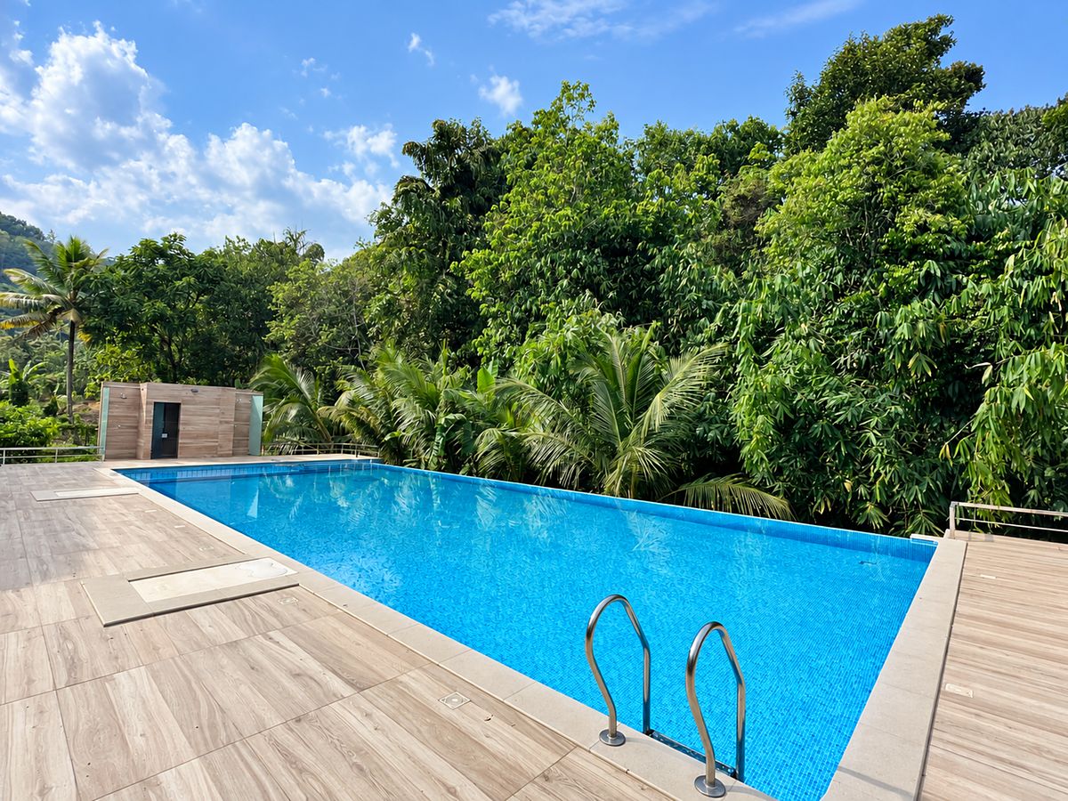 Broadbean infinity pool with forest views, built by Moothedan Pools in Kerala